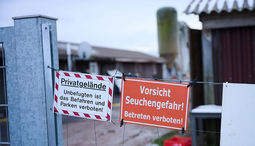 Schutzmaßnahmen sind angelaufen nach dem Ausbruch der Maul- und Klauenseuche.