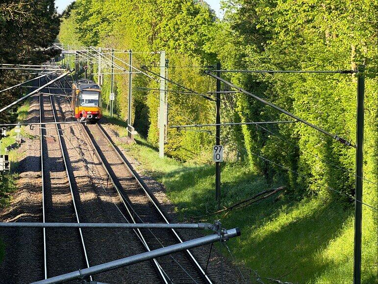 Mitarbeiter der Bahn sind am fr&uuml;hen Mittwochabend mit der Beseitigung der St&ouml;rung besch&auml;ftigt.