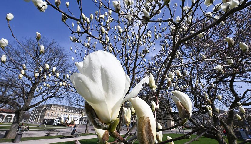 Die Sonne meldet sich in Baden-Württemberg zurück. (Symbolbild) Die Sonne meldet sich in Baden-Württemberg zurück. (Symbolbild)