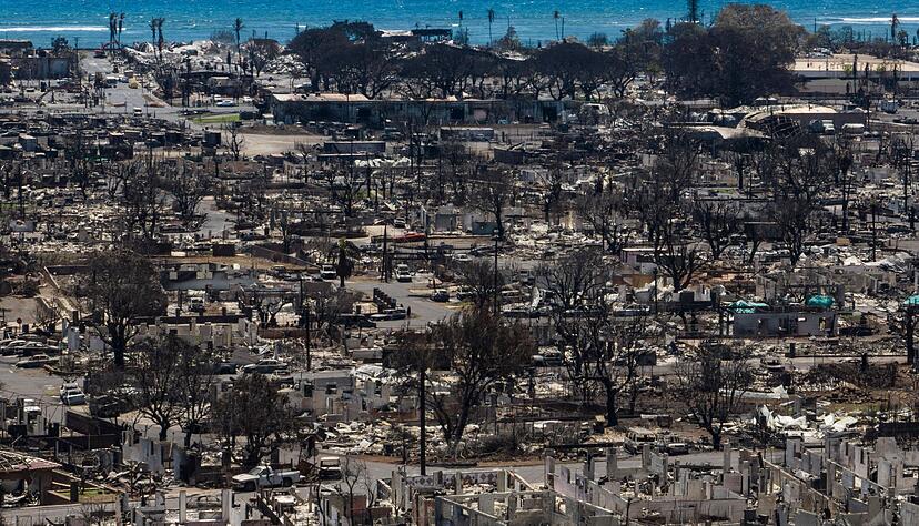 Eine neue Steuer soll Projekte finanzieren, die die Natur sch&uuml;tzen und den Klimawandel bek&auml;mpfen. (Archiv)