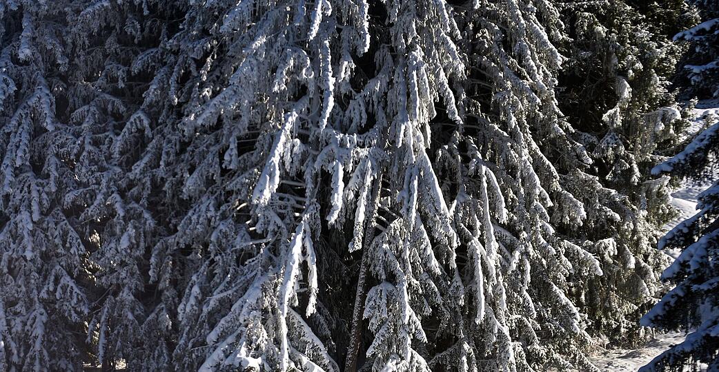 Verglichen mit fr&uuml;heren Jahren f&auml;llt nicht nur weniger Schnee, er schmilzt auch schneller dahin. (Archivbild)