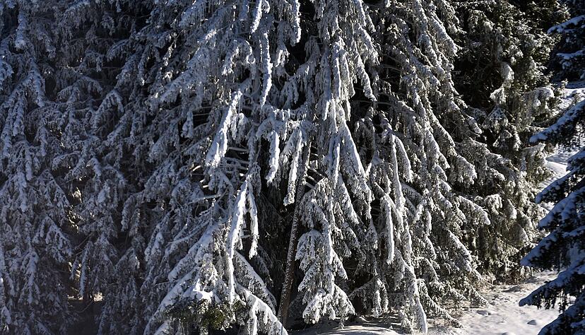 Verglichen mit fr&uuml;heren Jahren f&auml;llt nicht nur weniger Schnee, er schmilzt auch schneller dahin. (Archivbild)