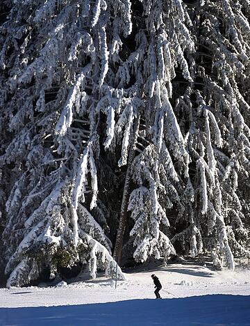 Verglichen mit fr&uuml;heren Jahren f&auml;llt nicht nur weniger Schnee, er schmilzt auch schneller dahin. (Archivbild)