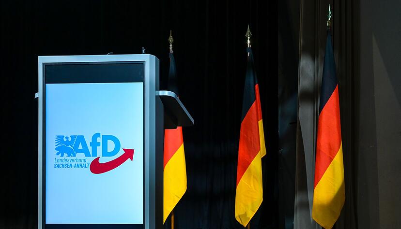 Insbesondere der AfD-Landesverband in Sachsen-Anhalt steht im Fokus. (Archivbild)