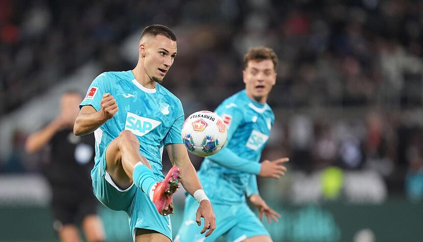 Hoffenheims Tim Lemperle (l) in Aktion.
