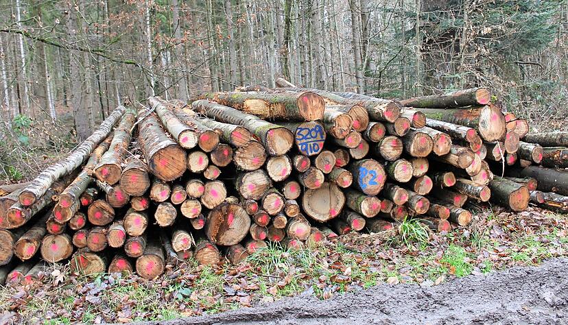 Ein Polter Brennholz aus dem Staatswald auf Abstatter Gemarkung. Ein Teil des frischen Einschlags steht jetzt f&uuml;r diesen Zweck zum Verkauf.