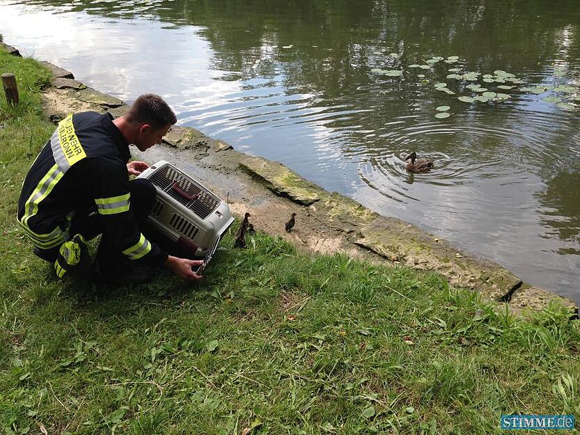 Feuerwehr rettet Entenfamilie | 02.07.