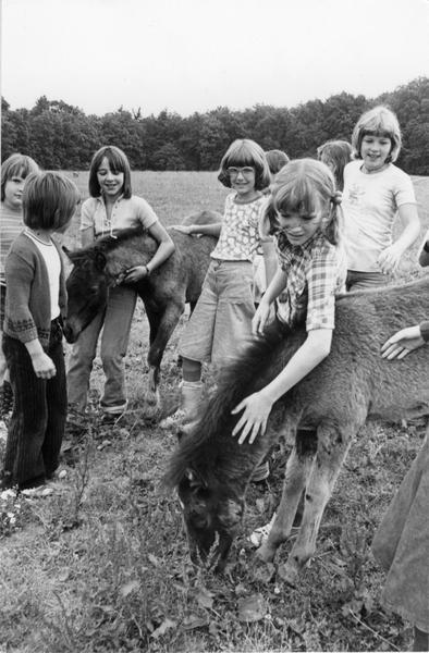 Juli 1978: Freizeitkinder streicheln die Vierbeiner vom benachbarten Ponyhof. Juli 1978: Freizeitkinder streicheln die Vierbeiner vom benachbarten Ponyhof.