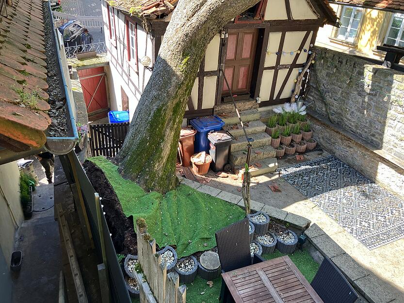 Am Freitag, dem 9. Mai 2025 ist in der Bad Wimpfener Altstadt ein alter Baum auf das Konventhaus, ein st&auml;dtisches Geb&auml;ude gest&uuml;rzt.