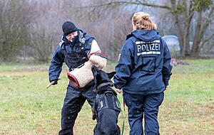 Bernd Kaupp und Carmen Zartmann-Seitz trainieren mit Elvis. Welche Kraft der Sch&auml;ferhund hat, kann Kaupp hier deutlich sp&uuml;ren. Fotos: Andreas Veigel