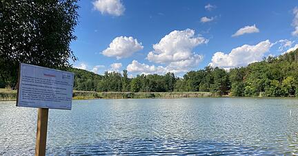 Fast alle Jahre wieder: Wie auf diesem Archivbild von 2022 muss die Stadt auch heuer wegen Cyanobakterien vor dem Baden im See warnen.
Foto: Archiv/Tscherwitschke