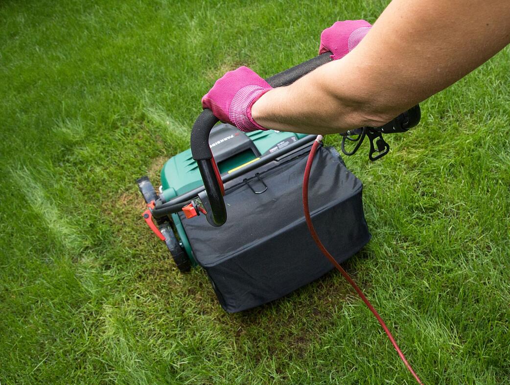 Rasen vertikutieren kleine Schnitte mit großer Wirkung STIMME.de