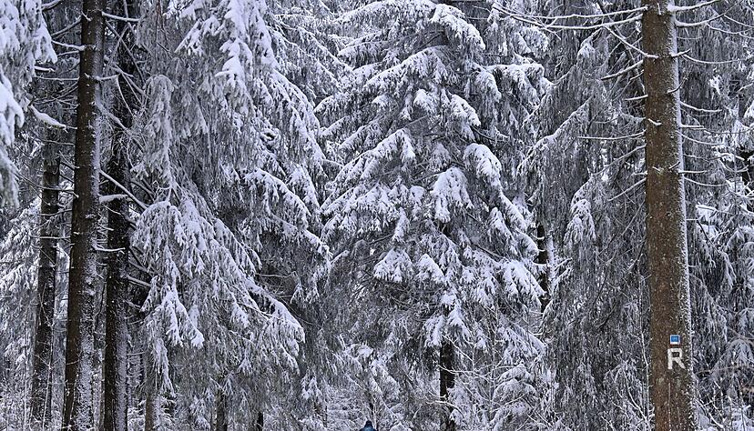 Manche genie&szlig;en den Winterspaziergang, doch f&uuml;r andere ist die anhaltende K&auml;lte eine enorme Belastung.