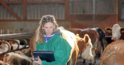 Alltag einer Amtstierärztin in Hohenlohe