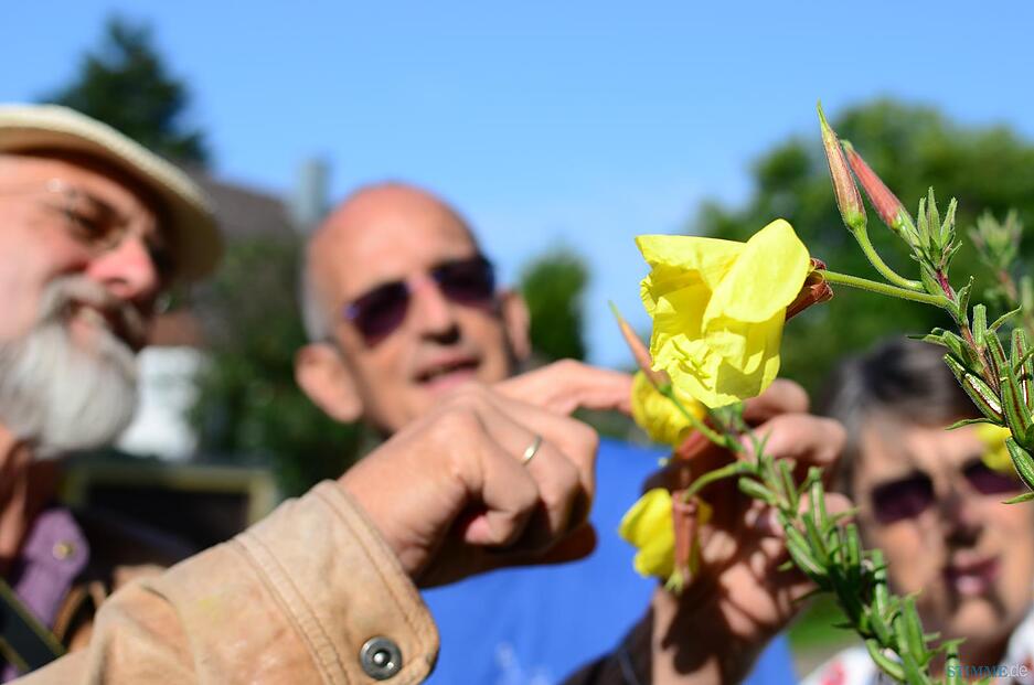 Artenvielfalt im heimischen Garten Artenvielfalt im heimischen Garten