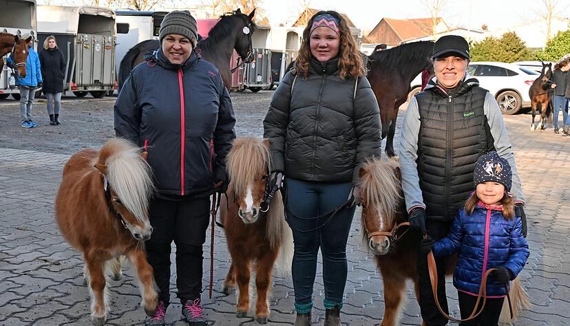 Nicht nur große Haflinger sind bei der Pferdeprämierung dabei − auch die kleinen Shetlandponys werden von der fachkundigen Jury begutachtet. Nicht nur große Haflinger sind bei der Pferdeprämierung dabei − auch die kleinen Shetlandponys werden von der fachkundigen Jury begutachtet.
