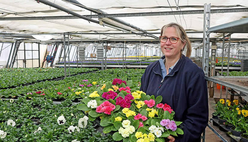 Christina Wieland in einem ihrer Gewächshäuser. Die Stiefmütterchen dürfen bei ihr im Frühling nicht fehlen.