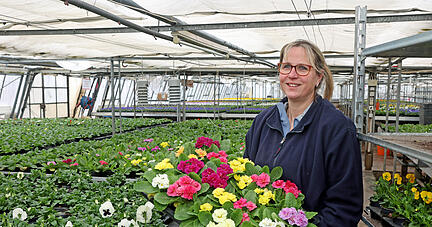 Christina Wieland in einem ihrer Gewächshäuser. Die Stiefmütterchen dürfen bei ihr im Frühling nicht fehlen.