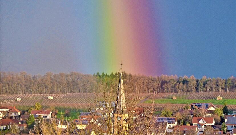 Unter dem Titel "Die Kirche unterm Regenbogen" hat Heimatreporter Konrad Schomerus dieses seltene Laune der Natur zusammen mit dem Gemminger Kirchturm in unser B&uuml;rgerportal meine.stimme eingestellt.
Foto: Heimatreporter Konrad Schomerus