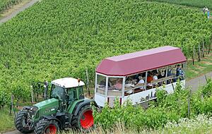 Mit dem Planwagen lassen sich die Weinberge im Zabergäu auch erkunden.
Foto: Archiv/Veigel