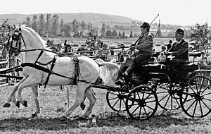 Ein Hingucker: Das erfolgreiche Schimmelgespann von Volker Schmidt aus Großbottwar im Jahr 1976.
Foto: Archiv/Mitschke Ein Hingucker: Das erfolgreiche Schimmelgespann von Volker Schmidt aus Großbottwar im Jahr 1976.
Foto: Archiv/Mitschke