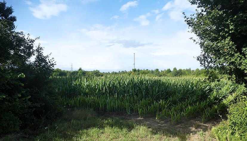 Auf der noch landwirtschaftlich genutzten Fläche nordöstlich des GKN möchte die Netze BW ein KI-Rechenzentrum errichten. Auf der noch landwirtschaftlich genutzten Fläche nordöstlich des GKN möchte die Netze BW ein KI-Rechenzentrum errichten.