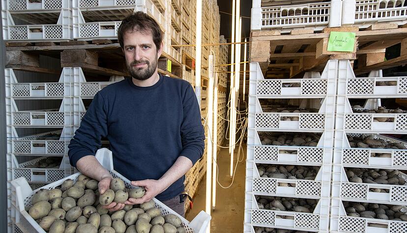 Günther Schmid bewirtschaftet gemeinsam mit seinem Vater Ernst Schmid den Familienhof. Neben verschiedenen Kartoffel sorten werden auch Süßkartoffeln, Kürbisse und Wassermelonen angebaut, wenn auch in kleinerer Stückzahl. Günther Schmid bewirtschaftet gemeinsam mit seinem Vater Ernst Schmid den Familienhof. Neben verschiedenen Kartoffel sorten werden auch Süßkartoffeln, Kürbisse und Wassermelonen angebaut, wenn auch in kleinerer Stückzahl.