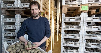 Günther Schmid bewirtschaftet gemeinsam mit seinem Vater Ernst Schmid den Familienhof. Neben verschiedenen Kartoffelsorten werden auch Süßkartoffeln, Kürbisse und Wassermelonen angebaut, wenn auch in kleinerer Stückzahl.