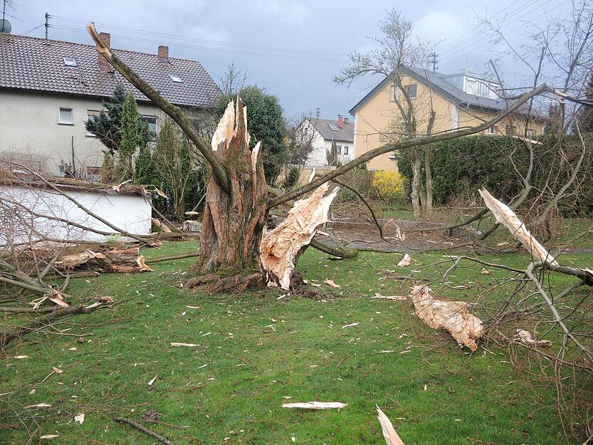 Baum explodiert durch Blitzeinschlag Baum explodiert durch Blitzeinschlag