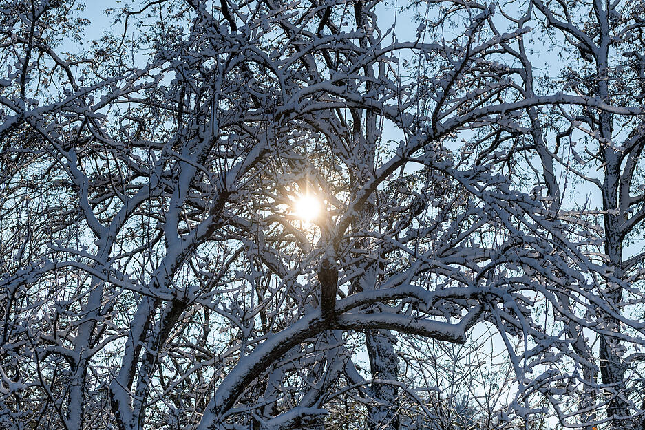 Winter in den Löwensteiner Bergen.