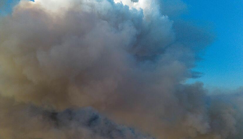 Das Areal wurde früher als Truppenübungsgelände genutzt. Das Areal wurde früher als Truppenübungsgelände genutzt.