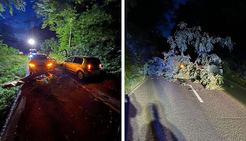 Zwischen Schwaigern und Neipperg ist es wegen eines umgest&uuml;rzten Baumes zu einem Unfall gekommen.