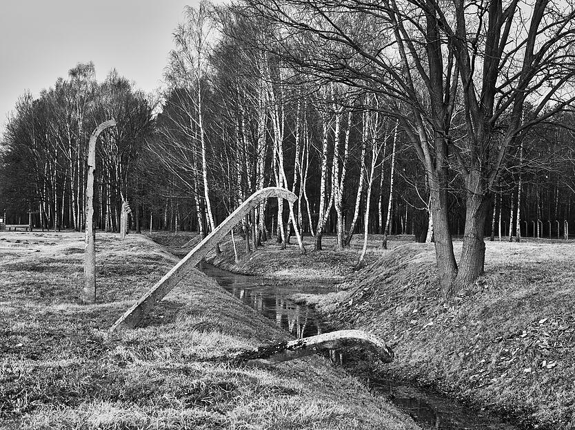 Teile des heutigen Gedenkorts in Auschwitz-Birkenau liegen nahezu brach. Bis zum 27. Januar 1945 wurden hier Menschen wegen ihrer Religion, Ethnie, Sexualit&auml;t oder politischen Einstellung gefangen gehalten und ermordet.