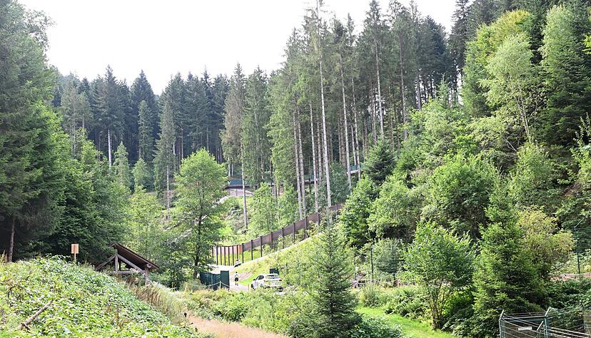 Wildbärin Gaia ist wohlbehalten im Bärenpark Schwarzwald eingetroffen - in ihr großes Gehege darf sie noch nicht. Wildbärin Gaia ist wohlbehalten im Bärenpark Schwarzwald eingetroffen - in ihr großes Gehege darf sie noch nicht.
