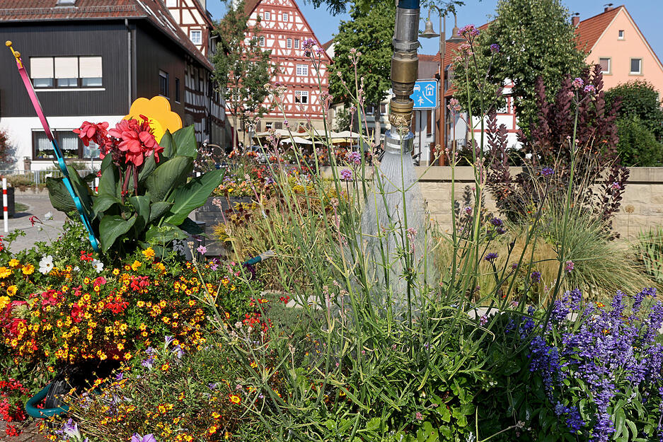 Wasserverbrauch und Beregnung auf der Gartenschau Eppingen