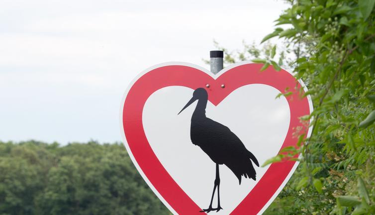Ein kurioses Schild weist Autofahrer auf einer Landstra&szlig;e bei Cleebronn auf Storchenflug hin. Die Tiere sind derzeit besch&auml;ftigt ihre Brut zu f&uuml;ttern. Foto: dpa