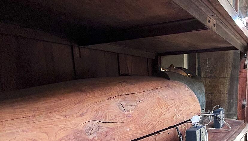 Bestimmte Geräte können Duftstoffe erkennen. Bestimmte Geräte können Duftstoffe erkennen.