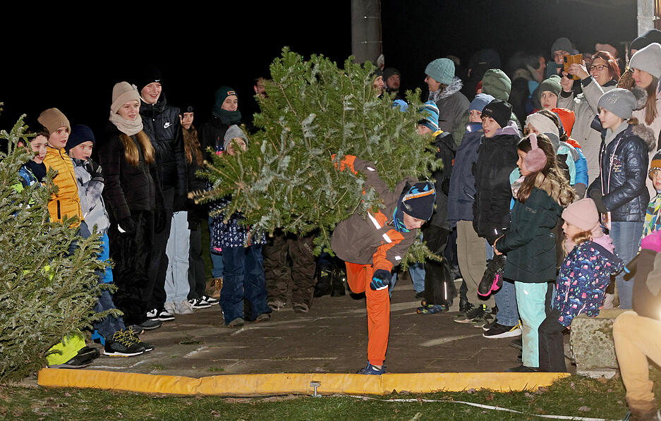 Christbaumschmiss in Kochert&uuml;rn: Wenn der Baum &uuml;ber f&uuml;nf Meter weit fliegt