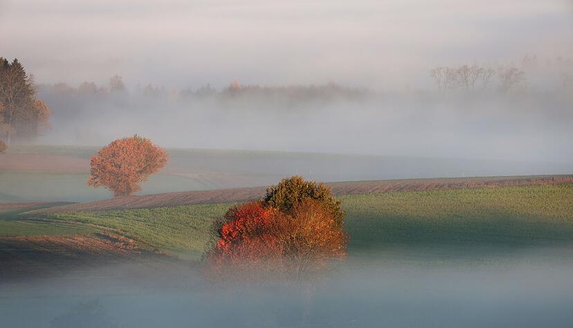 Der Nebel hält sich auch am Wochenende. (Archivbild)