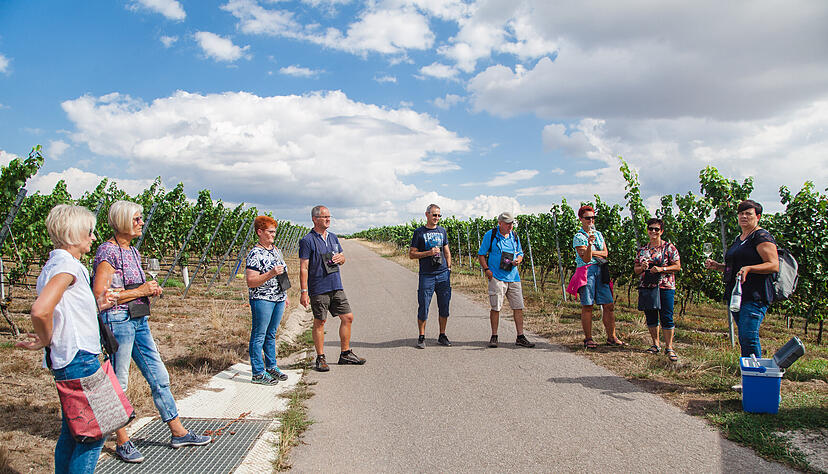 Lesersommer Weingärtner Stromberg-Zabergäu Lesersommer Weingärtner Stromberg-Zabergäu
