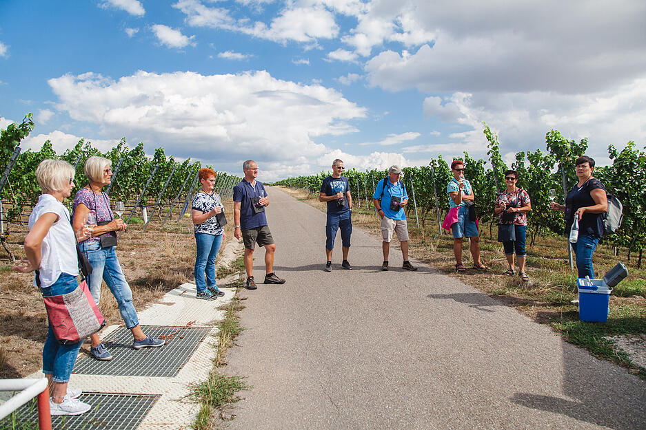 Lesersommer Weing&auml;rtner Stromberg-Zaberg&auml;u