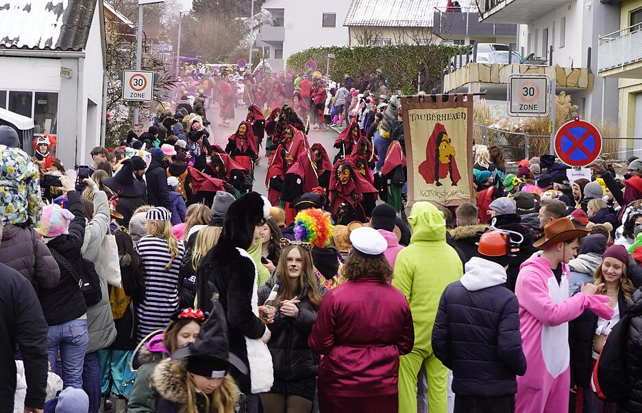 Faschingsumzug der Sulmtalnarren in Ellhofen.