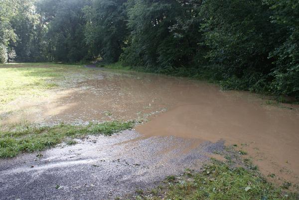 Überspülter Wanderweg zwischen Ilsfeld und Neckarwestheim.