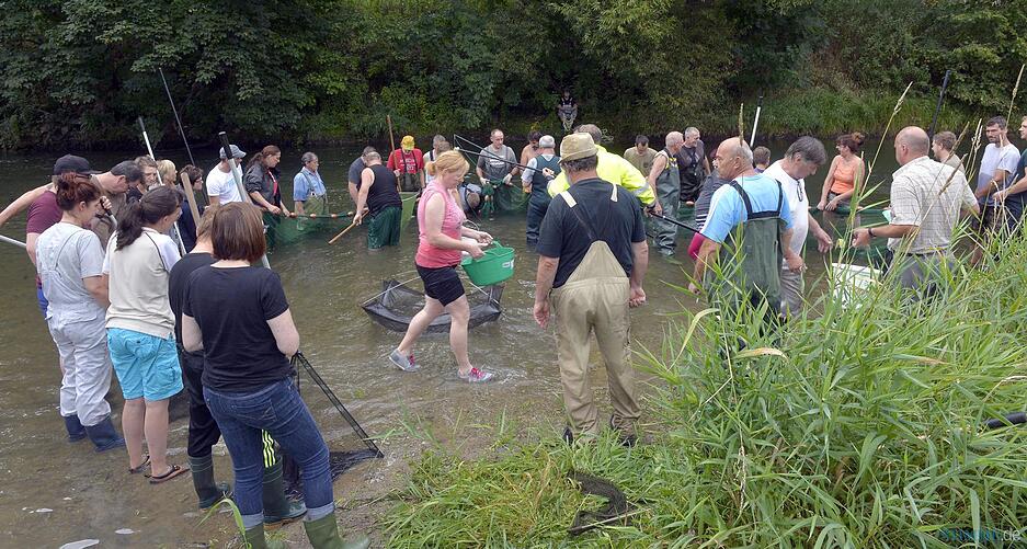 Fischrettung Siglingen | 28.08.2015