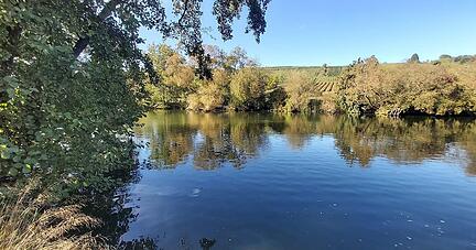 Der Kocher bei Gochsen Der Kocher bei Gochsen