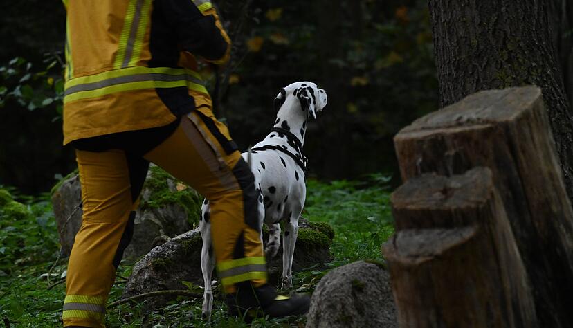 &laquo;Der Junge war m&ouml;glicherweise auf dem Weg zu seinem Vater&raquo;, sagte die Sprecherin.