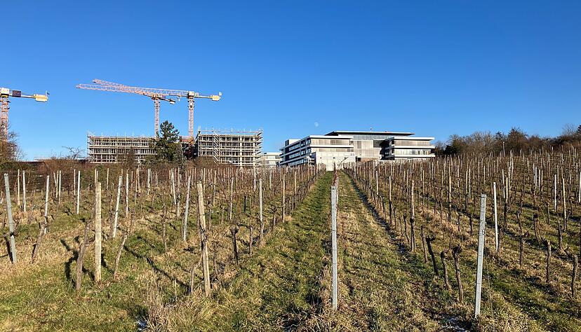 Blick &uuml;ber Weinberge auf das Robert-Bosch-Krankenhaus in Stuttgart. Hier k&ouml;nnte eine Seilbahn verlaufen.