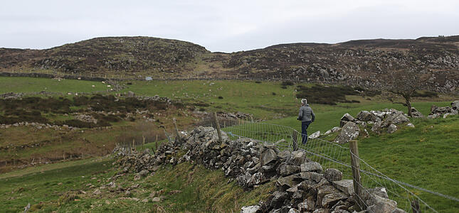 30.03.2019, Irland, Dundalk: Ein Mann blickt auf die Grenze zwischen dem EU-Staat Irland und dem britischen Nordirland. Foto: Niall Carson/PA Wire/dpa +++ dpa-Bildfunk +++ |