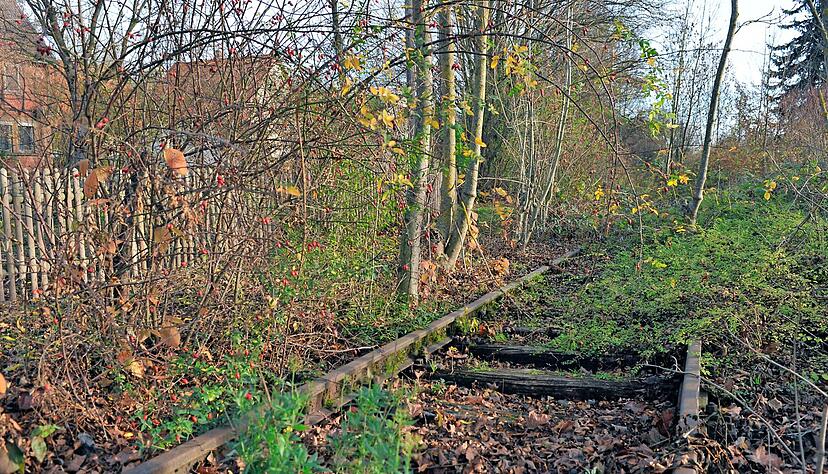 Die Schienen auf der Trasse der Zabergäubahn sind noch da. Sollten hier wieder Züge fahren, müssten die Schienen auf der ganzen Strecke erneuert werden.
Foto: Archiv/Braun