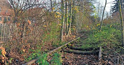 Die Schienen auf der Trasse der Zabergäubahn sind noch da. Sollten hier wieder Züge fahren, müssten die Schienen auf der ganzen Strecke erneuert werden.
Foto: Archiv/Braun